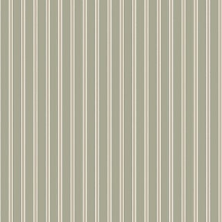 Boråstapeter Pärlrand Wallcovering In Sage For Sale