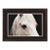 Horse Eye, John Maggiotto For Sale