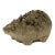 Reconstituted Stone Hedgehog Garden Ornament, 20th Century For Sale