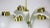 Mid-Century 5 Arms Brass Chandelier by Emi For Sale - Image 10 of 13