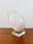 Contemporary Vintage Large Crowned Baler Sea Snail Shell on Lucite Base For Sale - Image 3 of 7