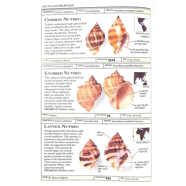 Paper "Shells: The Visual Guide to More Than 500 Species of Seashells From Around the World" 1992 Dance, S. Peter For Sale - Image 7 of 11