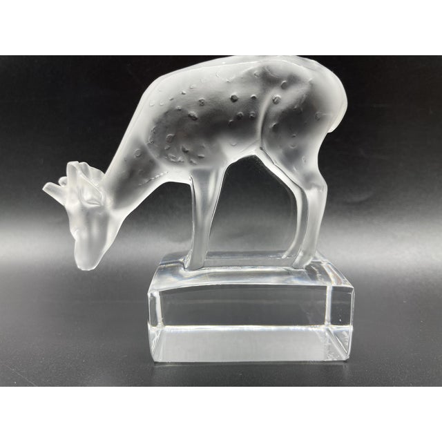 Glass Daim Sculpture in Frosted Glass by René Lalique for Lalique, 1970s For Sale - Image 7 of 13