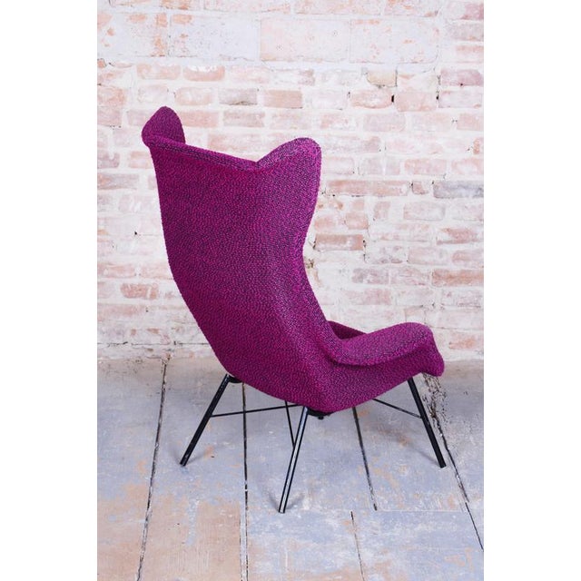 Mid-Century Wingchair in Plastic Fiber from Miroslav Navratil, Czech, 1950s For Sale - Image 6 of 12