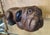 This fantastic wooden version of mans best friend is hand carved and sure to make you smile. There is a signature on the...