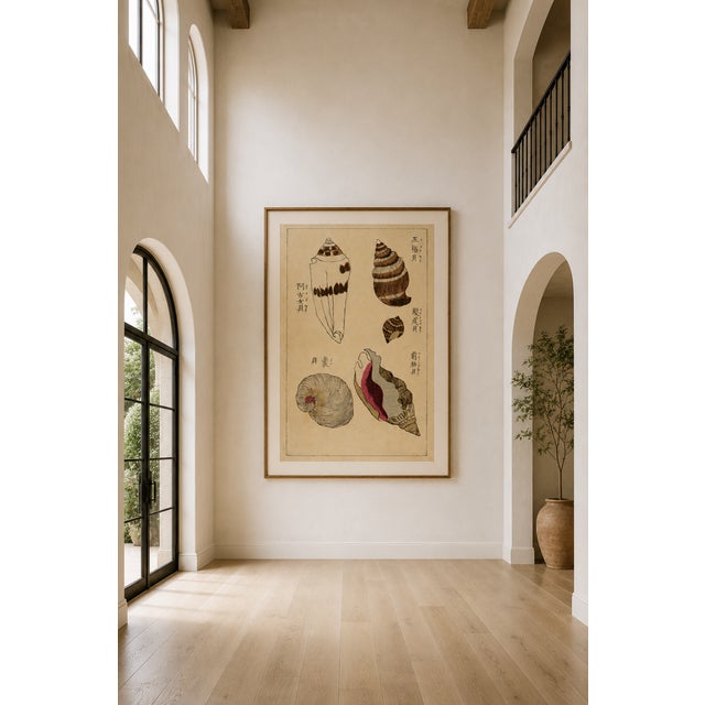 Vintage Japanese Seashells, Woodblock Print Reproduction, 20" X 30" For Sale - Image 9 of 11