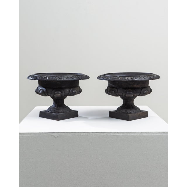 19th Century French Cast Iron Planters - A Pair For Sale - Image 11 of 18