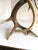 Bone 1950s Antler Table Lamp For Sale - Image 7 of 8