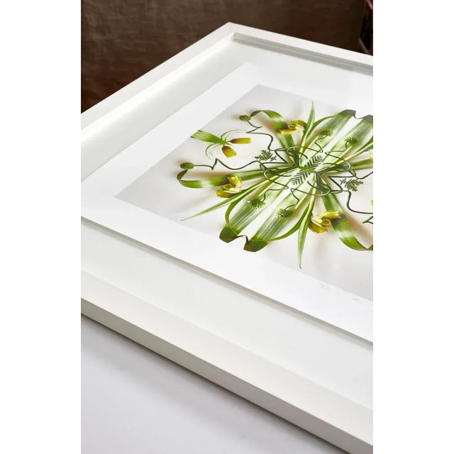 Not Yet Made - Made To Order "No. 1" Contemporary Botanical Photograph by Erin Derby, Framed For Sale - Image 5 of 6