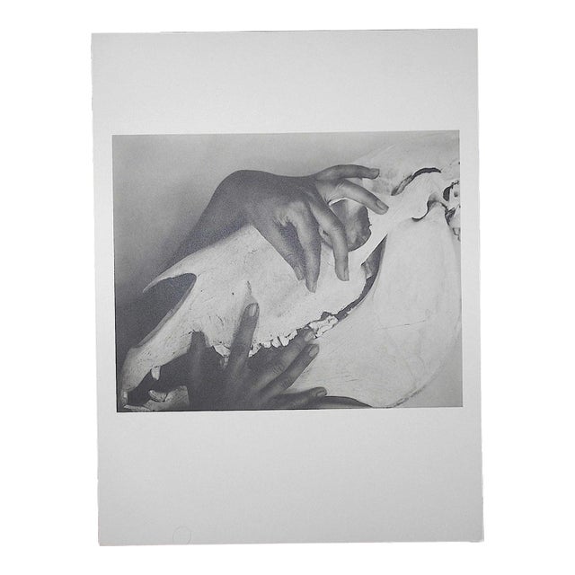 Large Vintage Photogravure-"Georgia O'Keeffe" by Alfred Stieglitz (Usa 1864-1946) For Sale