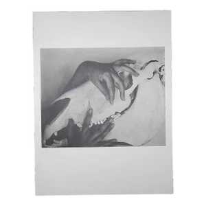 Large Vintage Photogravure-"Georgia O'Keeffe" by Alfred Stieglitz (Usa 1864-1946)