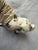 Vintage Cheval Ceramics Appaloosa Pony Figure Spaghetti Effect Mane For Sale - Image 12 of 17