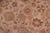 1990s Shabby Chic 1990's Pak-Persian Beige/Green Wool Rug - 8'0'' X 10'0'' For Sale - Image 5 of 9