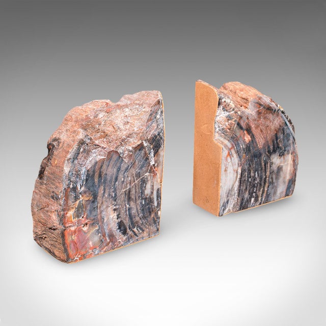 Wood Pair of Prehistoric Large Volume Bookends, Petrified Wood, Book Rest, Geological For Sale - Image 7 of 12