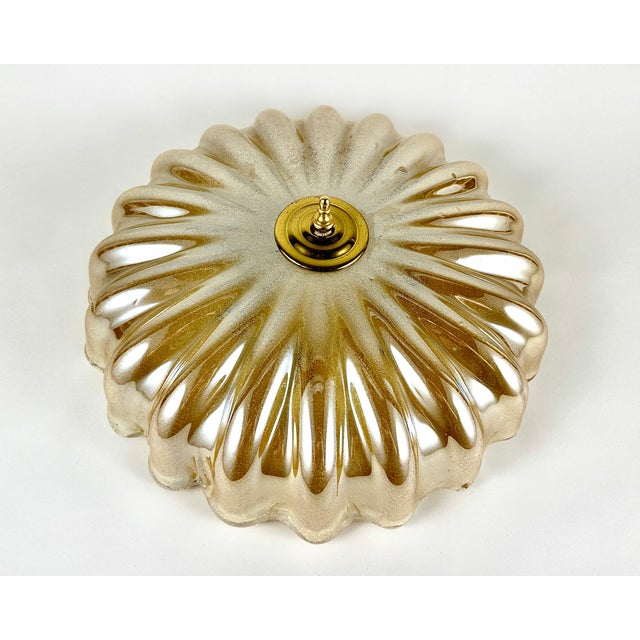 Honey Glass Ceiling Flush Mount, Germany, 1960s For Sale - Image 11 of 11