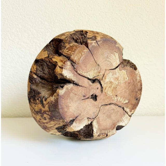 1970s Rustic Burl Wood Vessel For Sale - Image 12 of 12