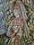 Large Medieval Renaissance Gothic Flemish Vorwerk Biblical Tapestry from Vorwerk, 1960s For Sale - Image 16 of 18