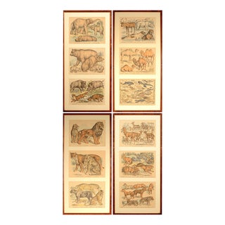 After Gabriel Gostiaux, French Animal Triptychs, 1890, Lithographs, Set of 4 For Sale