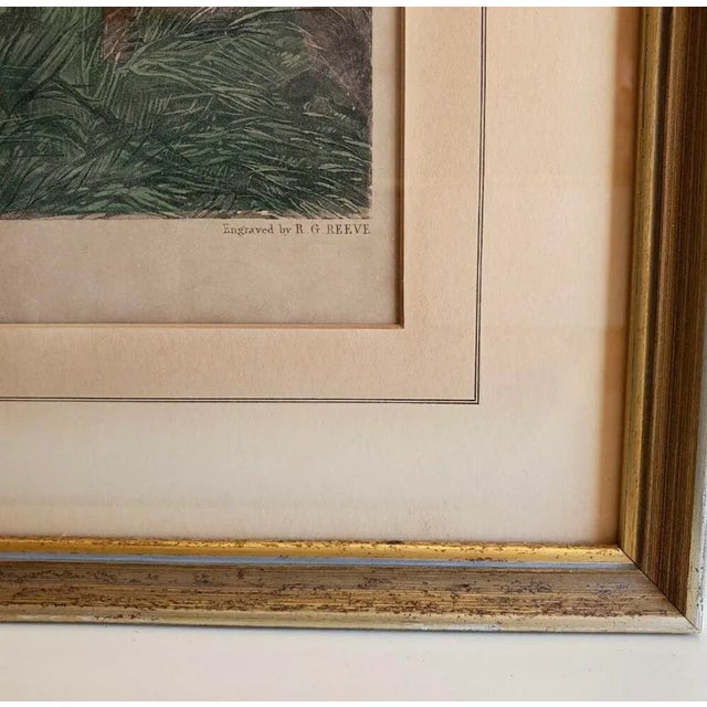 Coffee Richard Barrett Davis 1782 -1854 Engraving - Snipe Shooting, November For Sale - Image 8 of 12