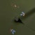 Schumacher Schumacher x Backdrop La Belle Wallpaper In Olive For Sale - Image 4 of 4