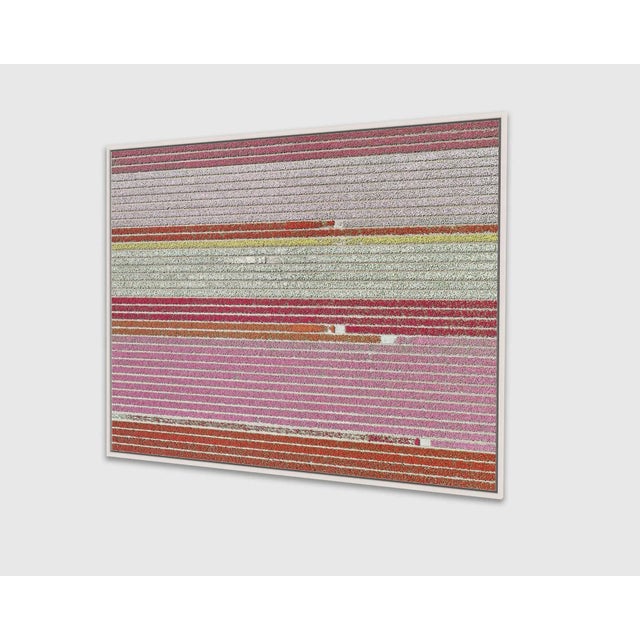 Contemporary "AV_Tulip_Fileds_005" Contemporary Limited Edition Photography Fine Art Print by Bernhard Lang For Sale - Image 3 of 10