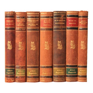Scandinavian Leather-Bound Books With Owl - Set of 7 For Sale