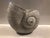 Late 20th Century Vintage Whitewashed Brass Nautical Seashell Planter For Sale - Image 5 of 7