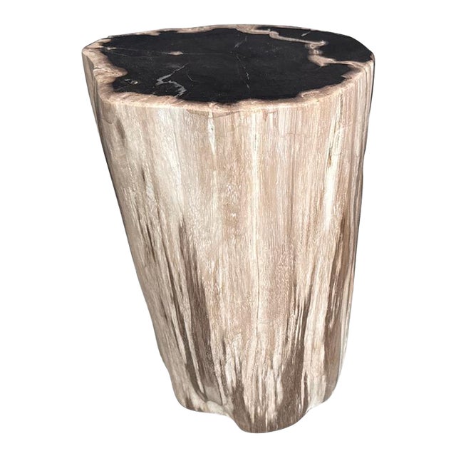 Andrianna Shamaris Modern Organic High Quality Petrified Wood Side Table For Sale