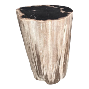 Andrianna Shamaris Modern Organic High Quality Petrified Wood Side Table