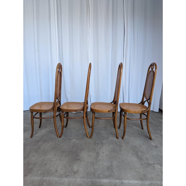 Mid-Century Modern Bentwood Cane Dining Chairs, 1970s, Set of 4 For Sale - Image 4 of 18