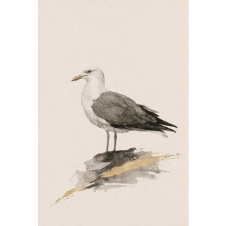 Coastal Seagull Study, Minimalist Nautical Art Print, 24″ × 36″ Reproduction For Sale
