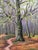 Vintage Original Forest Landscape Oil Painting, Circa 1960s For Sale - Image 6 of 13