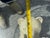 Vintage Rare Polar Bear + Glass Top Coffee Table, 1970s For Sale - Image 9 of 12