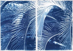 "Lush Palm Bushes" Contemporary Botanical Diptych Cyanotype Prints by Kind of Cyan - a Pair