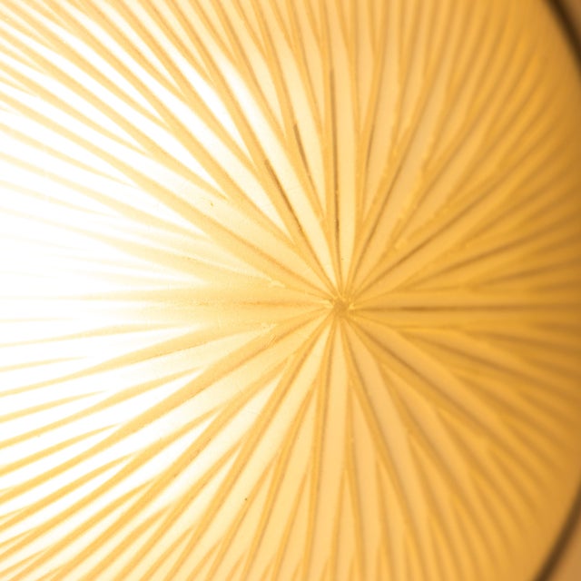 Silver Gamma Wall Lamp by Sergio Mazza for Artemide, 1970 For Sale - Image 8 of 10