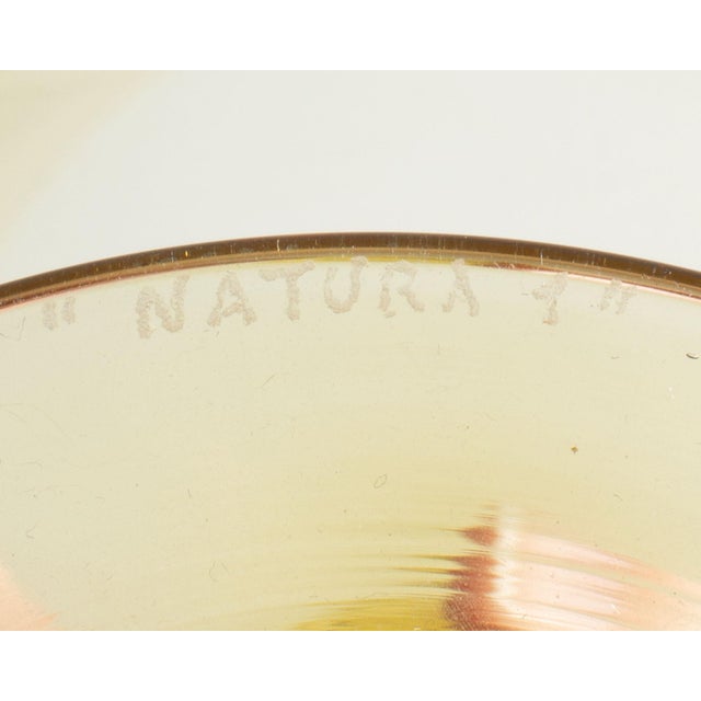 2000 - 2009 Peter Pelzel 2003 “Natura 9” Murano Glass Compote For Sale - Image 5 of 9