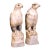 Pair of 19th Century French Carved Marble Eagle Sculptures With Glass Eyes For Sale