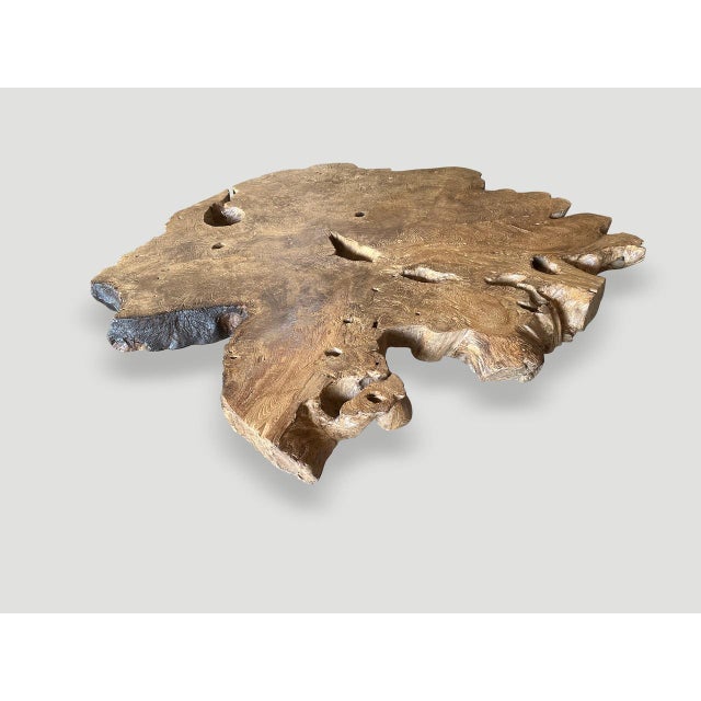 Andrianna Shamaris Monumental Rare Burl Teak Wood Coffee Table For Sale In New York - Image 6 of 18