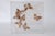 Vintage 1970s Botanical Butterly Taxidermy Acrylic Box Wallhanging For Sale - Image 10 of 11