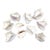 Large Vintage Queen Conch Shells - Collection of 10 For Sale