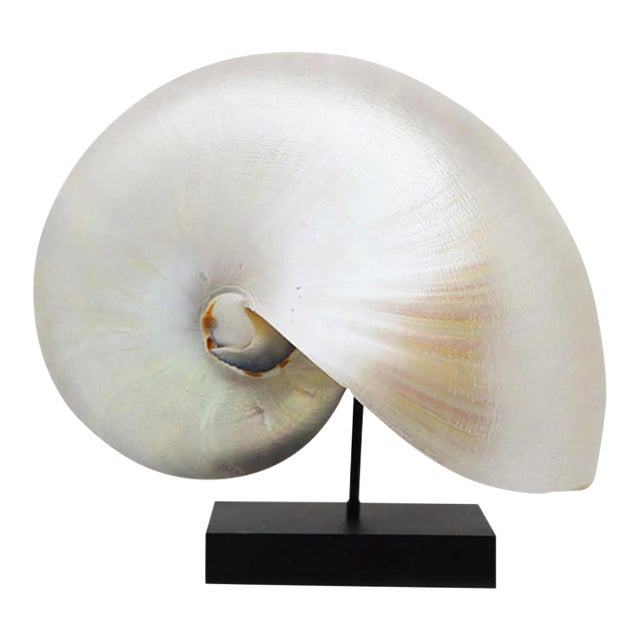 Pearlescent Natural Flo Sculpture For Sale