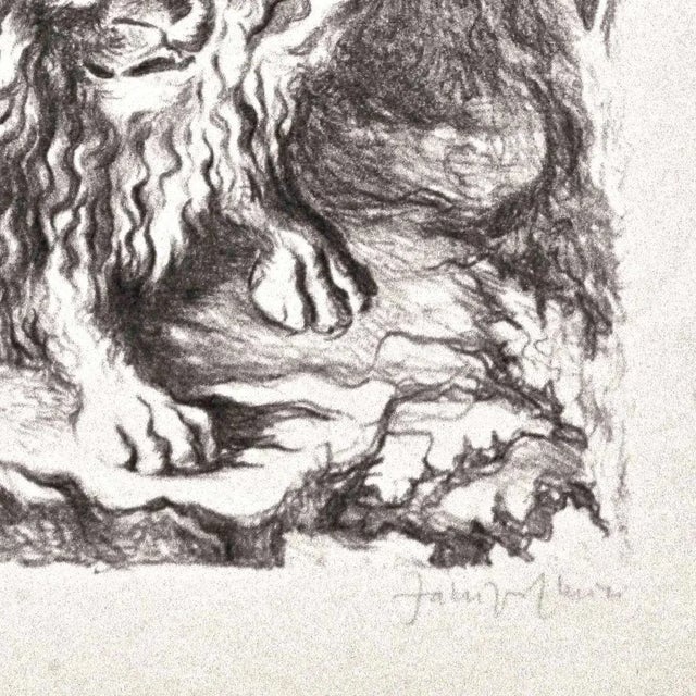 Leone - Original Lithograph by Fabrizio Clerici - 1941 1941 For Sale - Image 4 of 5