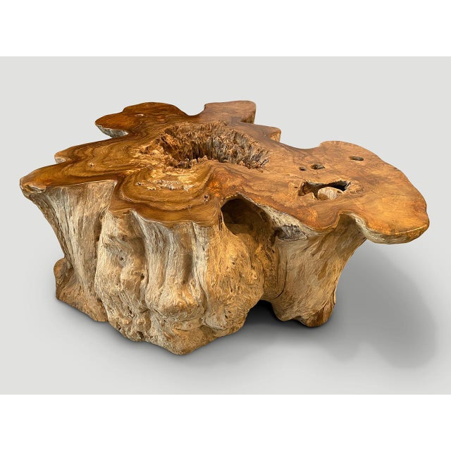 Andrianna Shamaris Impressive Organic Teak Wood Coffee Table For Sale - Image 13 of 18