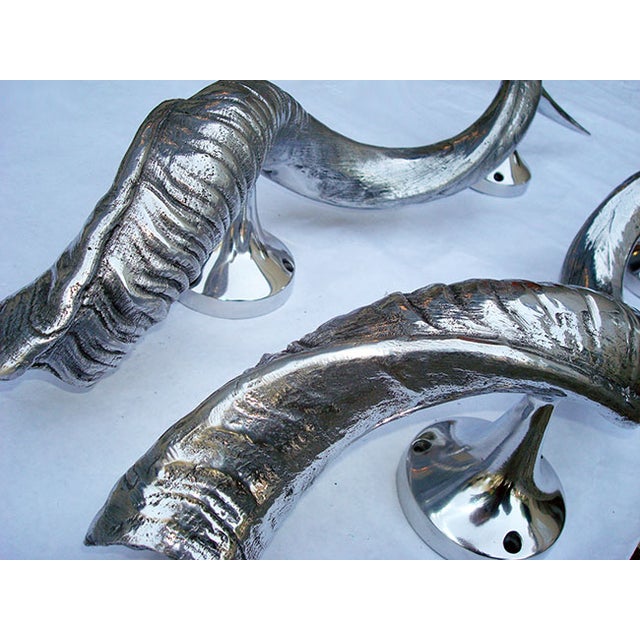 Exotic Horn Door Handles a Pair Chairish