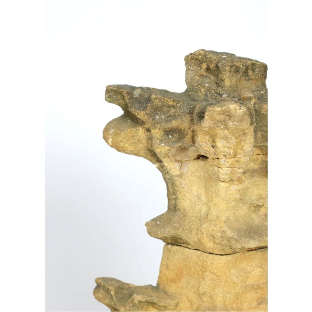 Early 18th Century Carved Limestone Architectural Element For Sale - Image 9 of 12