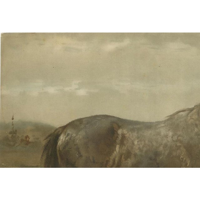 Paper After Otto Eerelman, Russian Draft Horse, 1898, Lithograph on Paper For Sale - Image 7 of 9