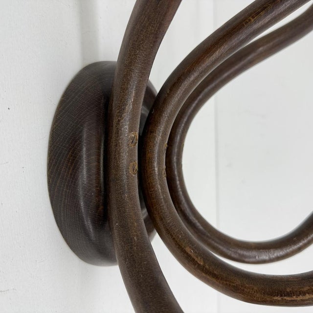 Antique Bentwood Wall Mounted Coat Rack, 1930s For Sale - Image 12 of 18