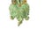 Curtain Rods, 19th Century, Set of 2 For Sale - Image 5 of 6
