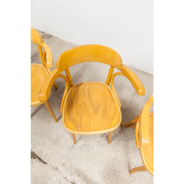 Vintage Bistro Armchairs, 1960s, Set of 4 For Sale - Image 12 of 18