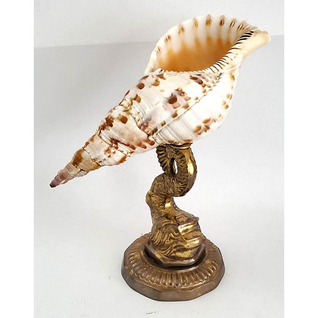 Buccellati Seashell Shell Specimen Sculpture on Antique Brass Koi Fish Base For Sale - Image 4 of 10